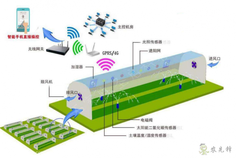 給農業大棚裝上物聯網無線傳感器