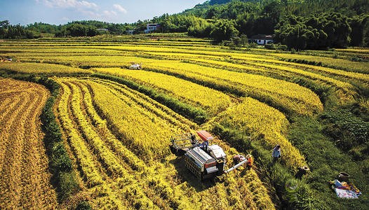 在農業領域中傾角傳感器扮演一個什么角色