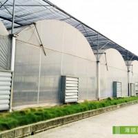 自然光型植物工廠工程建造服務