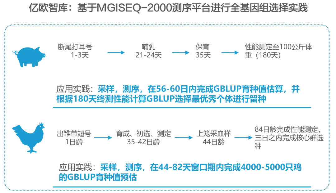 億歐網(wǎng)：我們?yōu)槭裁纯春弥袊?guó)分子育種？“最后一公里”并非遙不可及